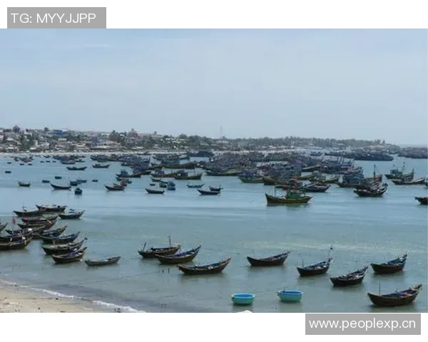 越南与马来西亚激战正酣直播时间定于12月11日敬请关注